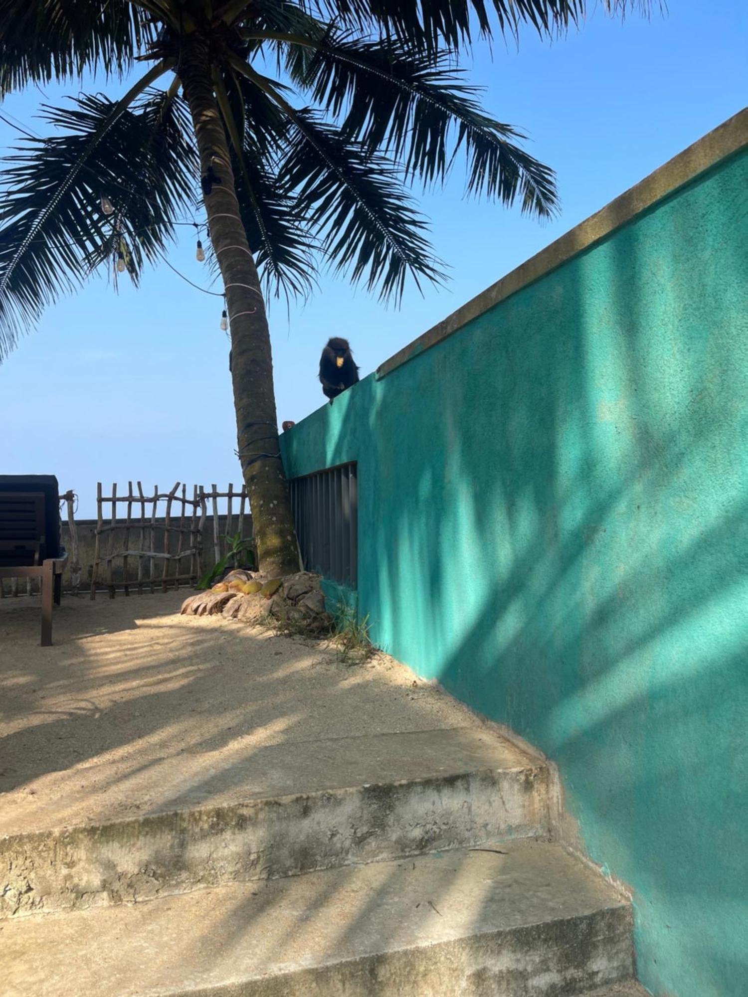Blue Maalu Resort Амбаланґода Екстер'єр фото